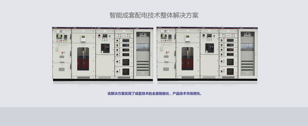 RDW2-2500~6300系列智能型万能式断路器 